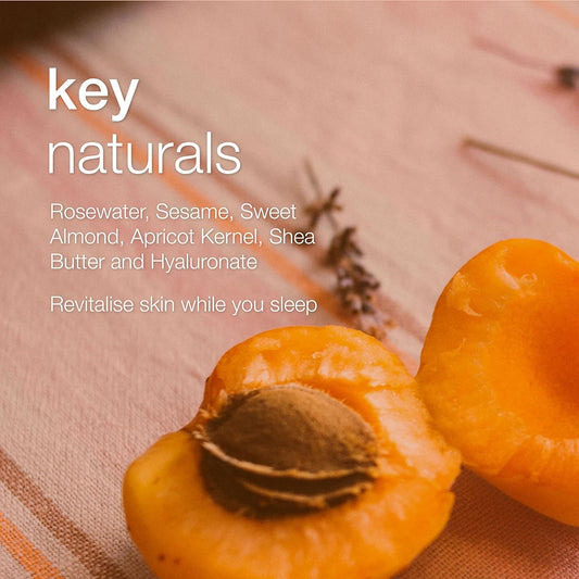 Natio Australia Rosewater Hydration Moisture Recharge Night Cream-Gel, 80 Ml - Face Moisturiser With Shea Butter - Face Cream For All Skin Types