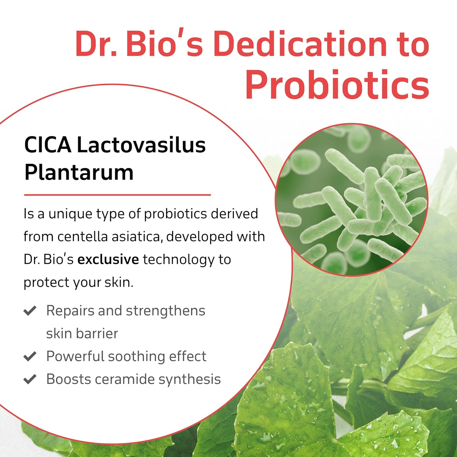 Dr.Bio Secret Therapy Feminine Foaming Wash, Ph-Balanced Feminine Wash With Probiotics, Hygienic Intimate Care, Hypoallergenic, Vegan, Fragrance-Free, Mild Gentle Hydrating Cleanser For All Skin Types : Health & Household