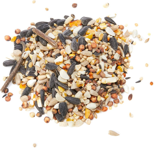 Extra Select No Wheat Wild Bird Food: Wheat Free Bird Seed For All Seasons, Mixed Bird Feed - 1Kg01Nwm1