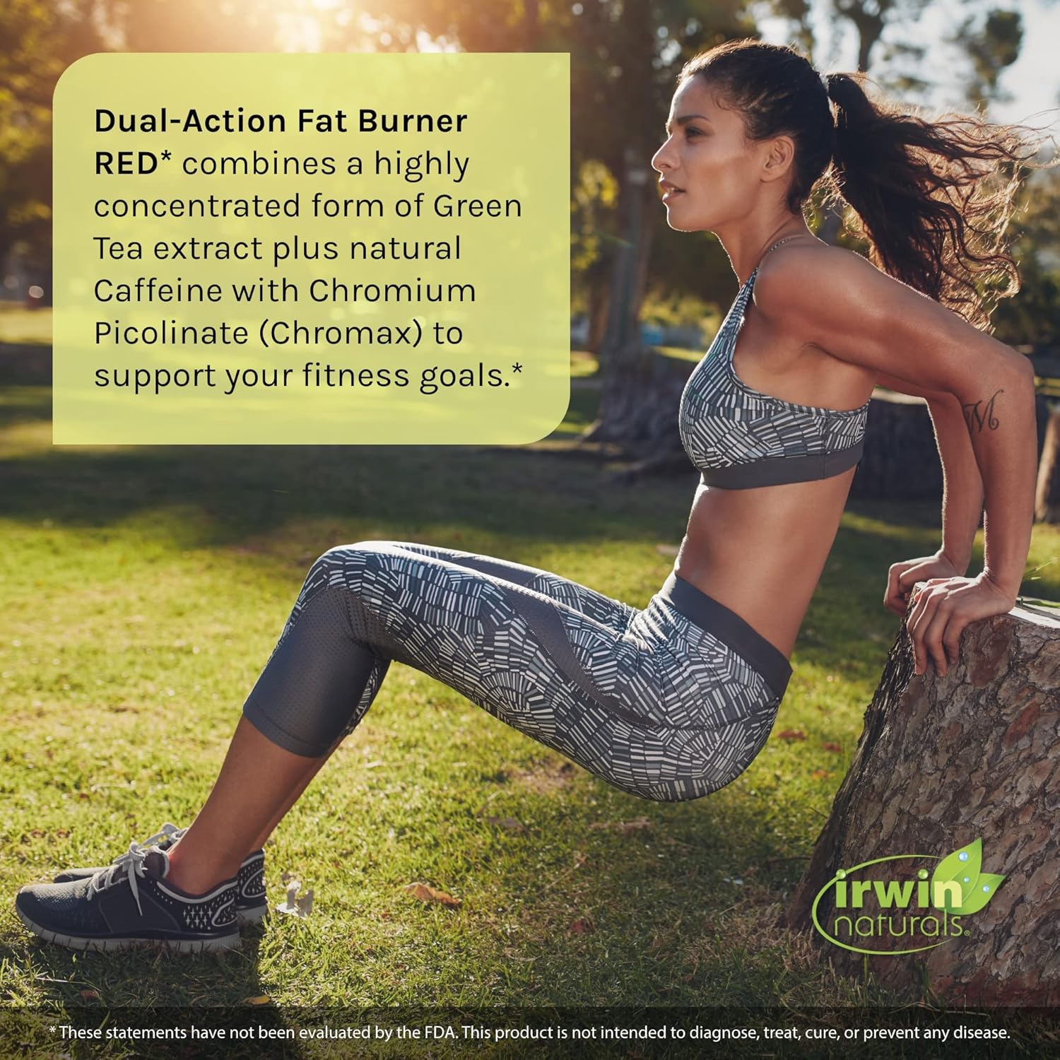 Irwin Naturals Dual-Action Fat Burner Red - 75 Liquid Soft-Gels - Powerful Thermogenic With Nitric Oxide Booster - 25 Total Servings : Health & Household