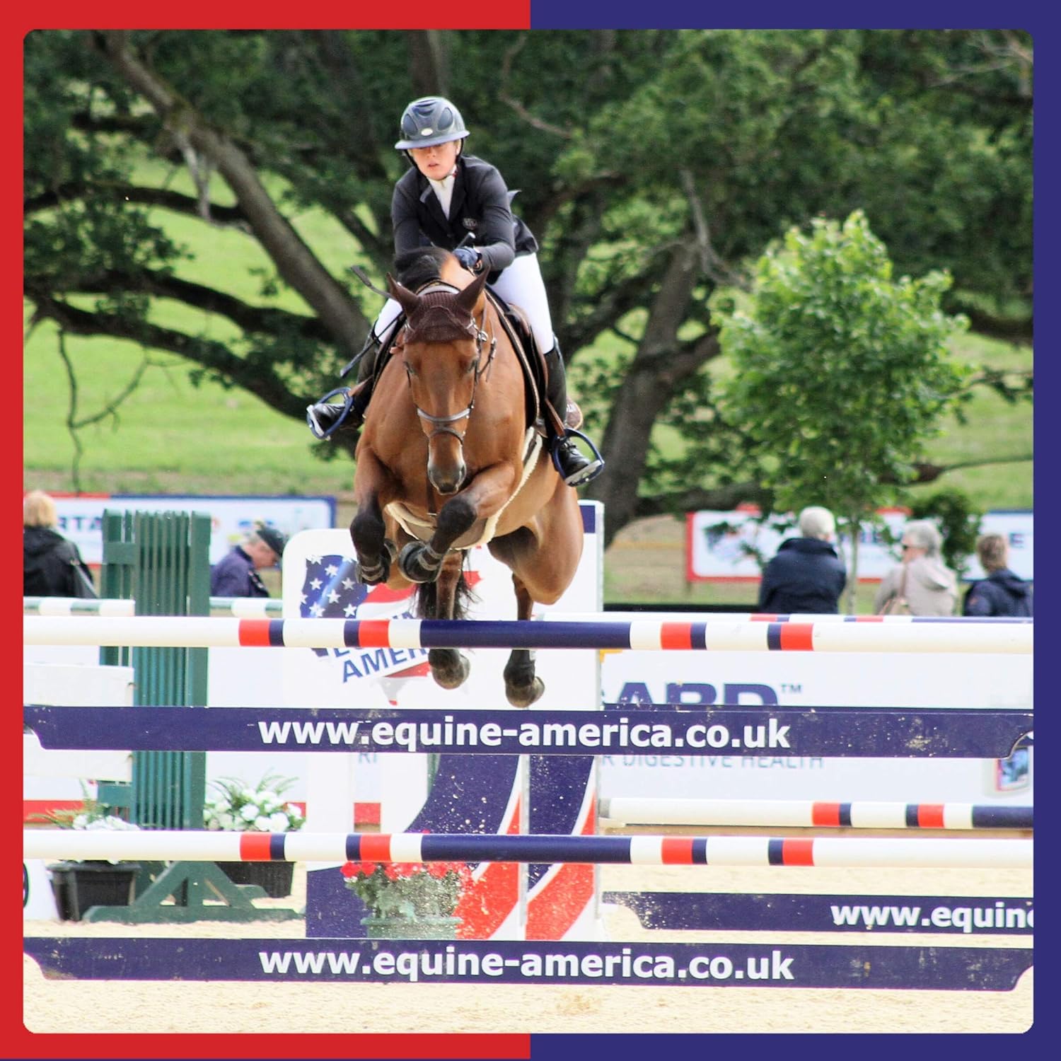 Equine America Airways Xtra Strength Premium Ready To Use Horse & Pony Supplement For Respiratory Support 500g : Amazon.co.uk: Pet Supplies