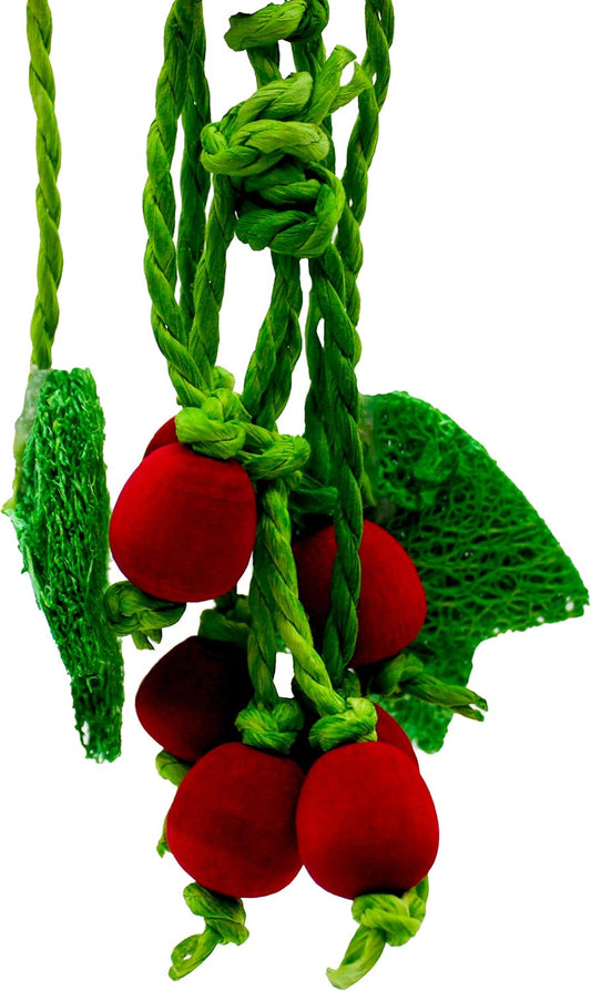 Critters Choice Berry Nibbler31184