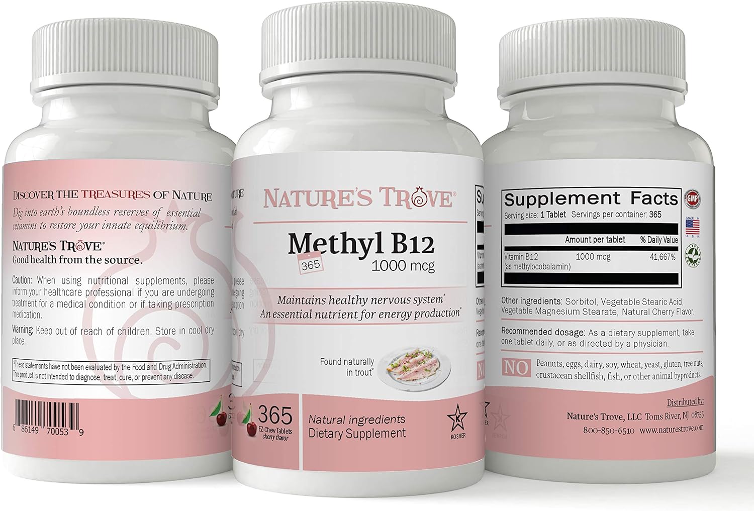 Nature's Trove Vitamin B12 Methylcobalamin 1000 mcg, 365 Count, B12 Chewable Vitamins, Cherry Flavor : Health & Household