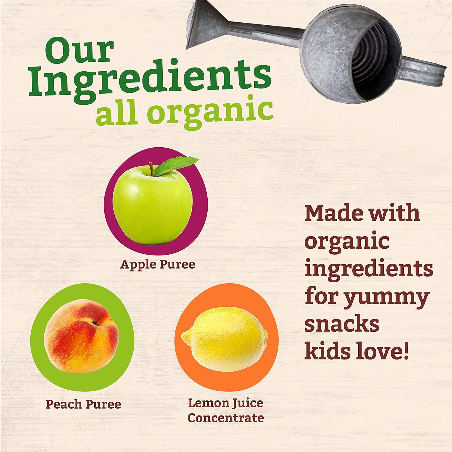 Pumpkin Tree Peter Rabbit Organics Apple and Peach, Fruit Snack Squeeze Pouch, 4 Ounce (Pack of 10) : Baby Food Fruit : Everything Else