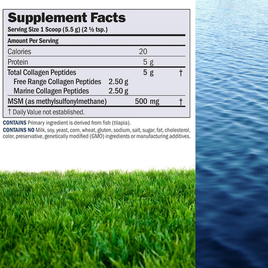 Andrew Lessman Marine, Free Range Collagen Peptides Powder And Msm 120 Servings - Supports Radiant Smooth Soft Skin, Comfortable Joints. Super Soluble No Fishy Flavor No Additives Non-Gmo