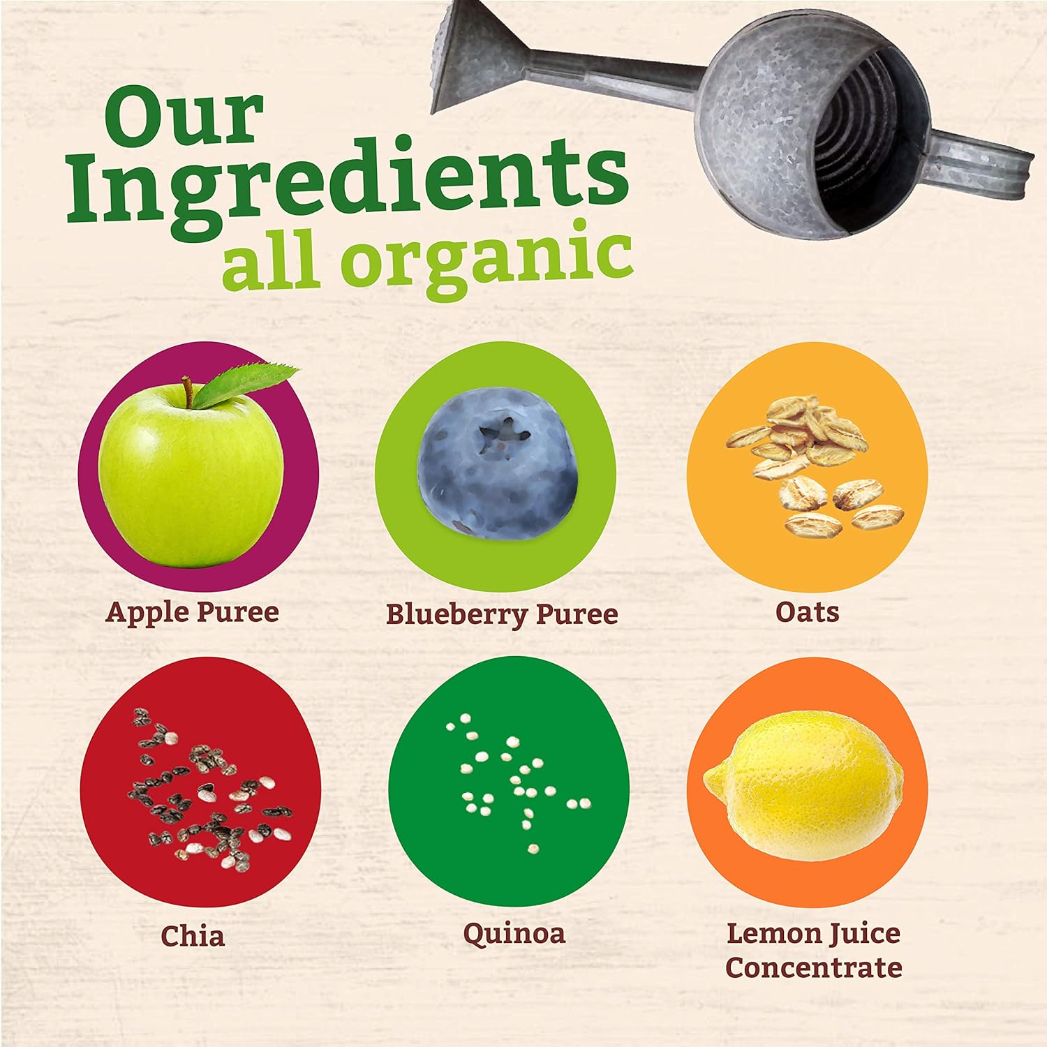 Peter Rabbit Organics SUPER Oats & Seeds, Apple & Blueberry, 4 oz Pouches, (Pack of 10) : Everything Else