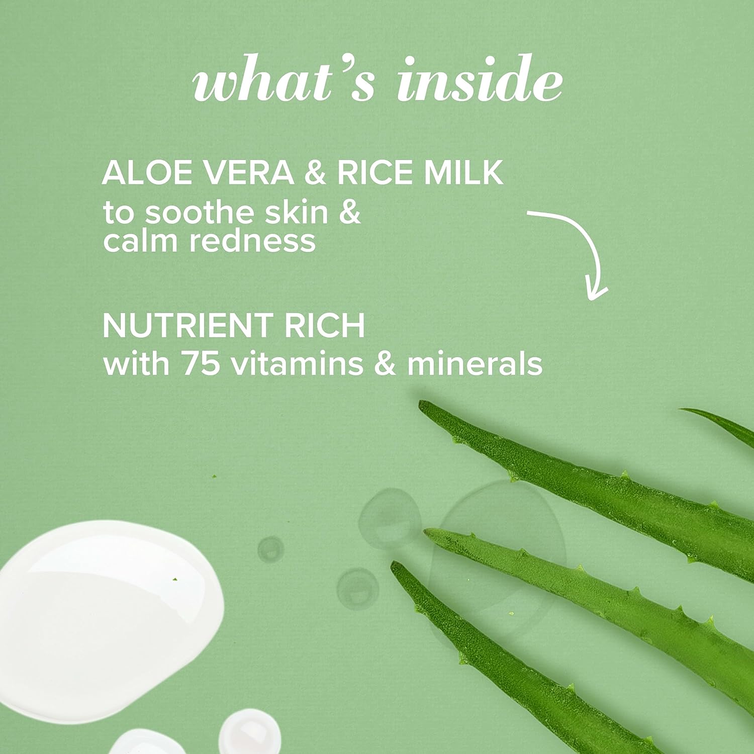 Burt’s Bees Gentle Night Cream Moisturizer for Face & Sensitive Skin - Made with Aloe Vera & Rice Milk to Soothe Skin, Dermatologist Tested (1.8 oz) : Beauty & Personal Care