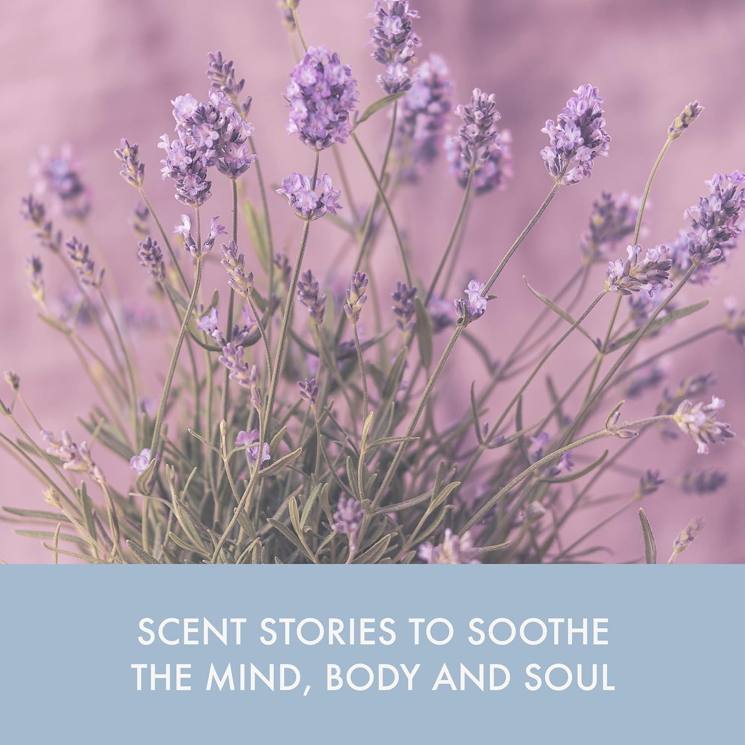 Baylis & Harding The Fuzzy Duck Cotswold Spa Luxury Self-Care Pamper Hamper Gift Set (Pack of 1) - Vegan Friendly : Amazon.co.uk: Beauty