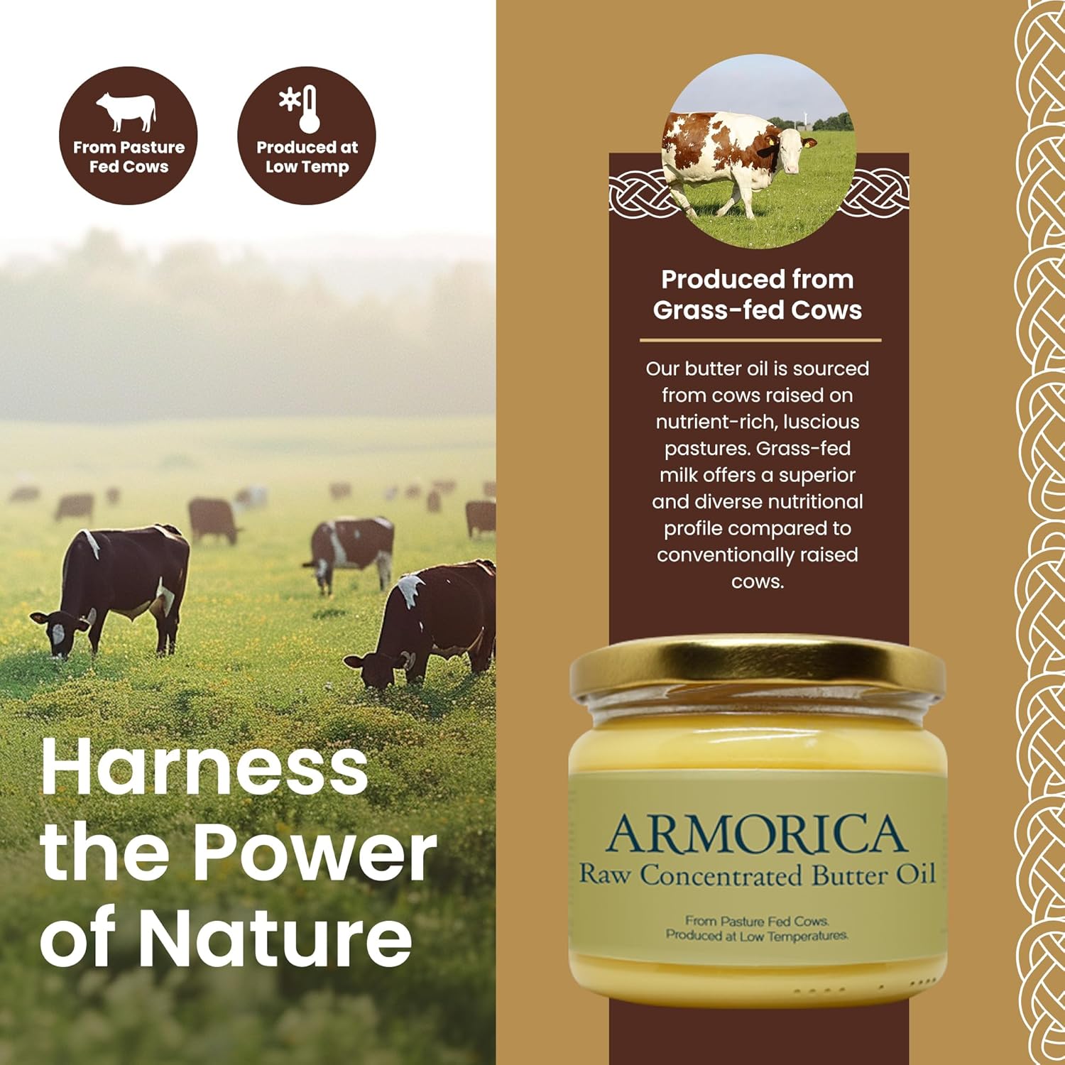 Armorica Raw Concentrated Butter Oil | Cold-Processed Butter Oil Made From Grass-Fed Cow'S Milk | Rich In Vitamins & Healthy Fats (230G) : Grocery & Gourmet Food