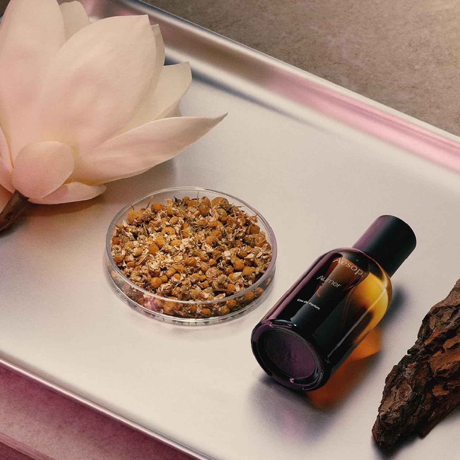 Aesop Virere Eau De Parfum | Fresh Citrus & Green Spice Fragrance | Inspired By Mediterranean Memories | 1.6 Oz : Beauty & Personal Care