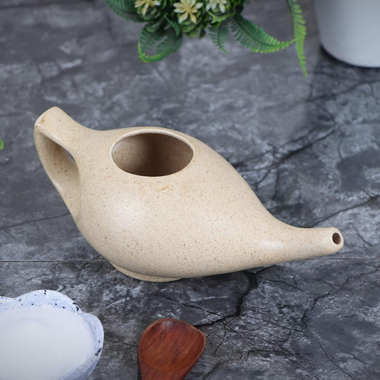 Leak Proof Durable Porcelain Ceramic Neti Pot With 10 Sachet Neti Salt Hold 300 Ml Water Comfortable Grip | Eco Friendly Natural Treatment For Sinus And Congestion (Green Mat)