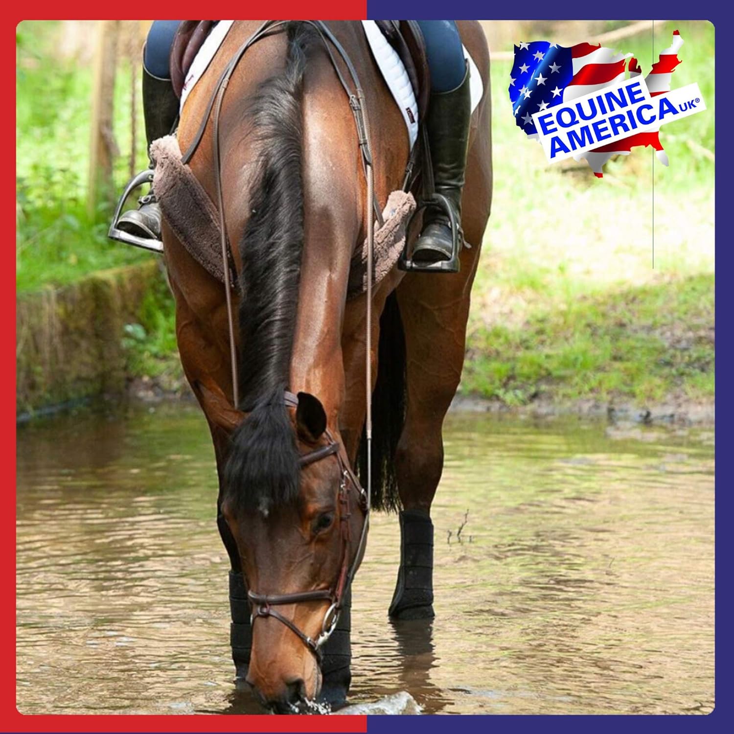 Equine America Apple Lytes Powder | Premium Horse & Pony Performance Supplement | Replenishes Lost Electrolytes & Accelerates Recovery | 2.5 Kg : Amazon.co.uk: Pet Supplies