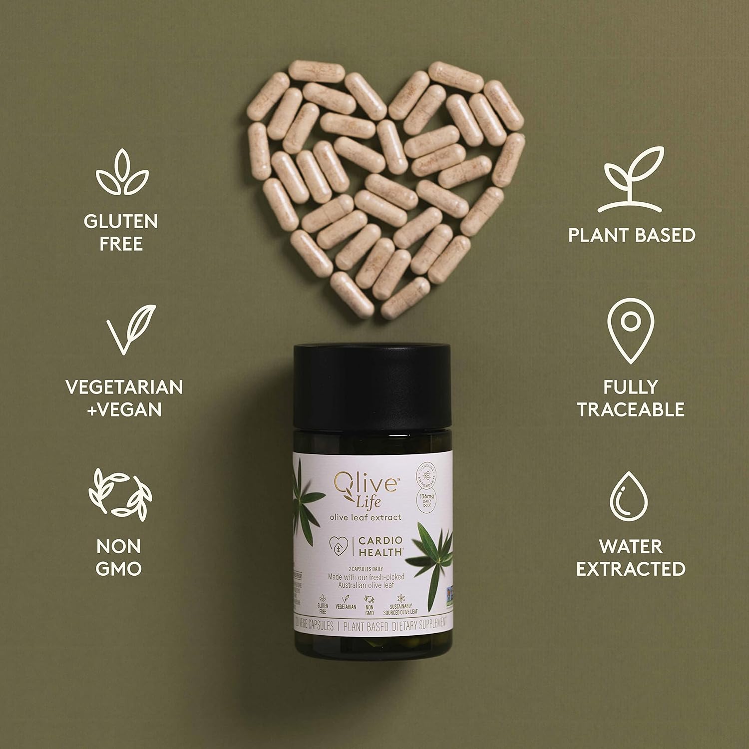 COMVITA Olive Life Olive Leaf Extract (120 Capsules) | High Strength Oleuropein & Polyphenols : Health & Household