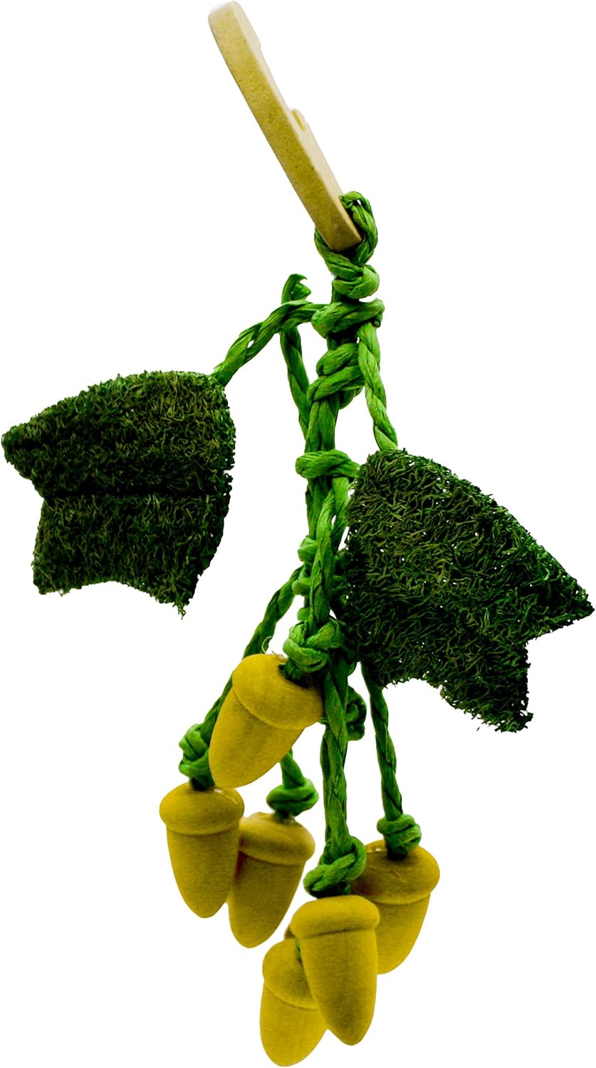Critters Choice Acorn Nibbler Chew Toy for Small Animals :Pet Supplies