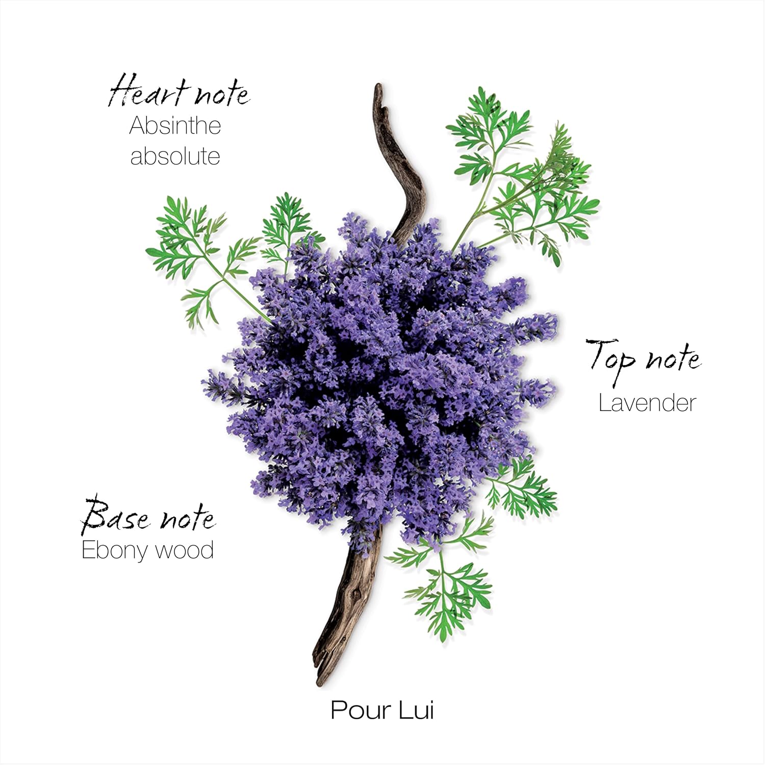 Mauboussin - Pour Lui 100Ml (3.3 Fl Oz) - Eau De Parfum For Men - Fern & Modern Scents : Bath And Shower Products : Beauty & Personal Care