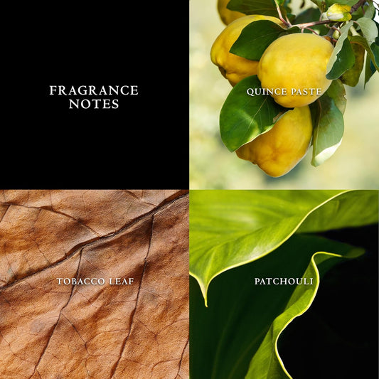 John Varvatos Men'S Cologne, Vintage Eau De Toilette Edt Spray, Aromatic Chypre Scent With Notes Of Quince Paste, Patchouli & Tobacco Leaf