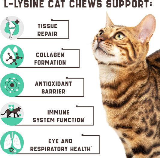Lysine Cat Treats - Cat Immune Support - Help Improve Respiratory Health And Eye Function - Enriched With Vitamin B, Calcium, Protein