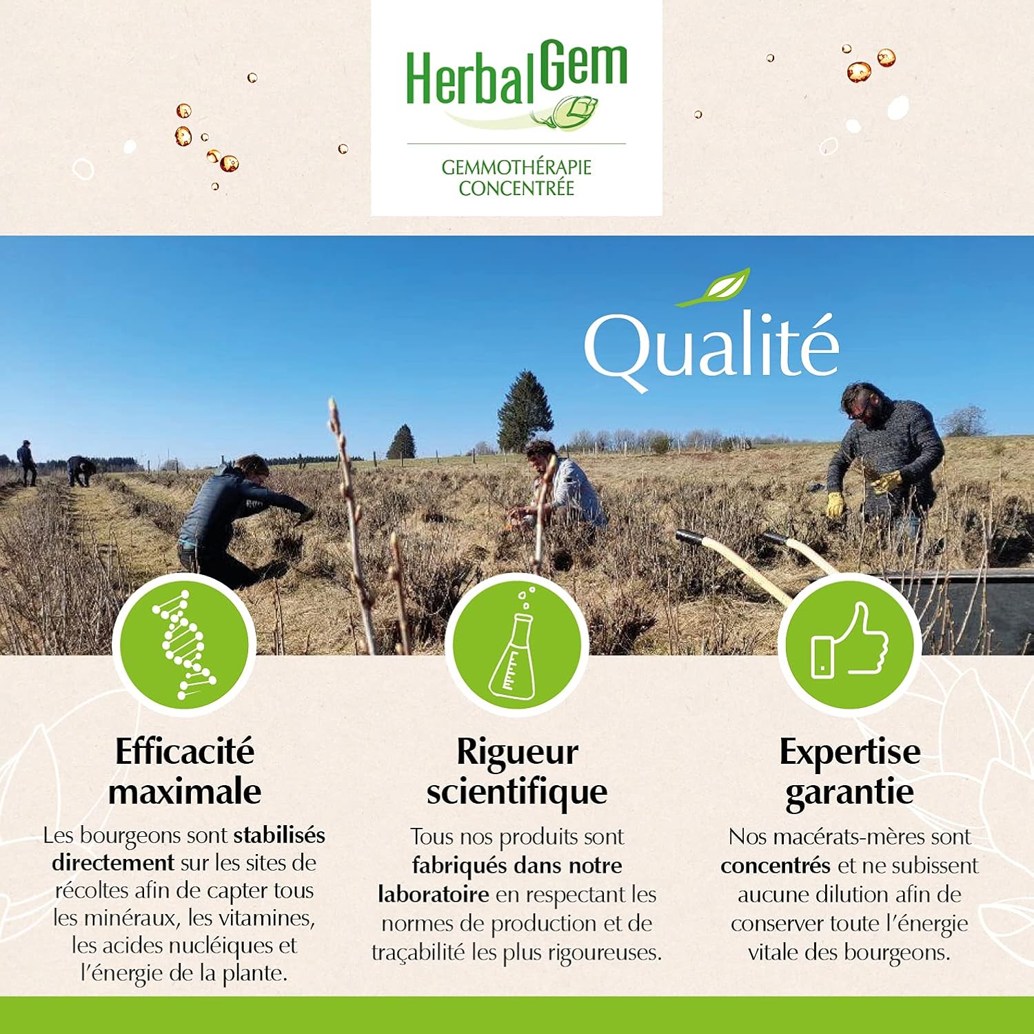 Herbalgem Organic Virgin Vine 30Ml