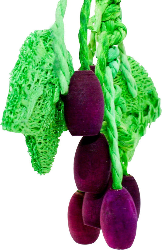 Critters Choice Grape Nibbler Chew Toy For Small Animals"31183