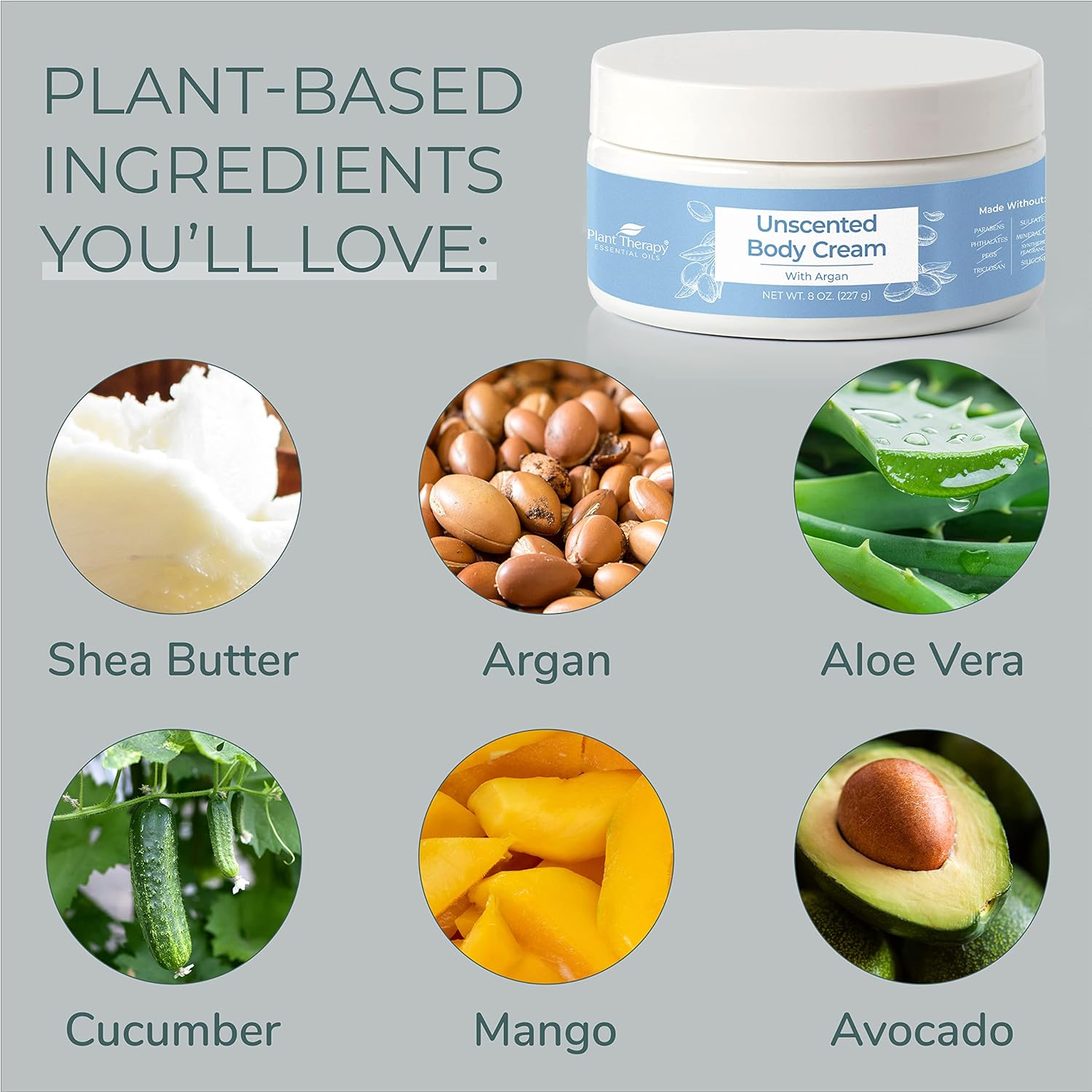 Plant Therapy Unscented Body Cream with Argan Oil 8 oz Restore Softness & Hydration, Vitamins and Antioxidants to Soften, Smooth, and Firm Skin : Beauty & Personal Care