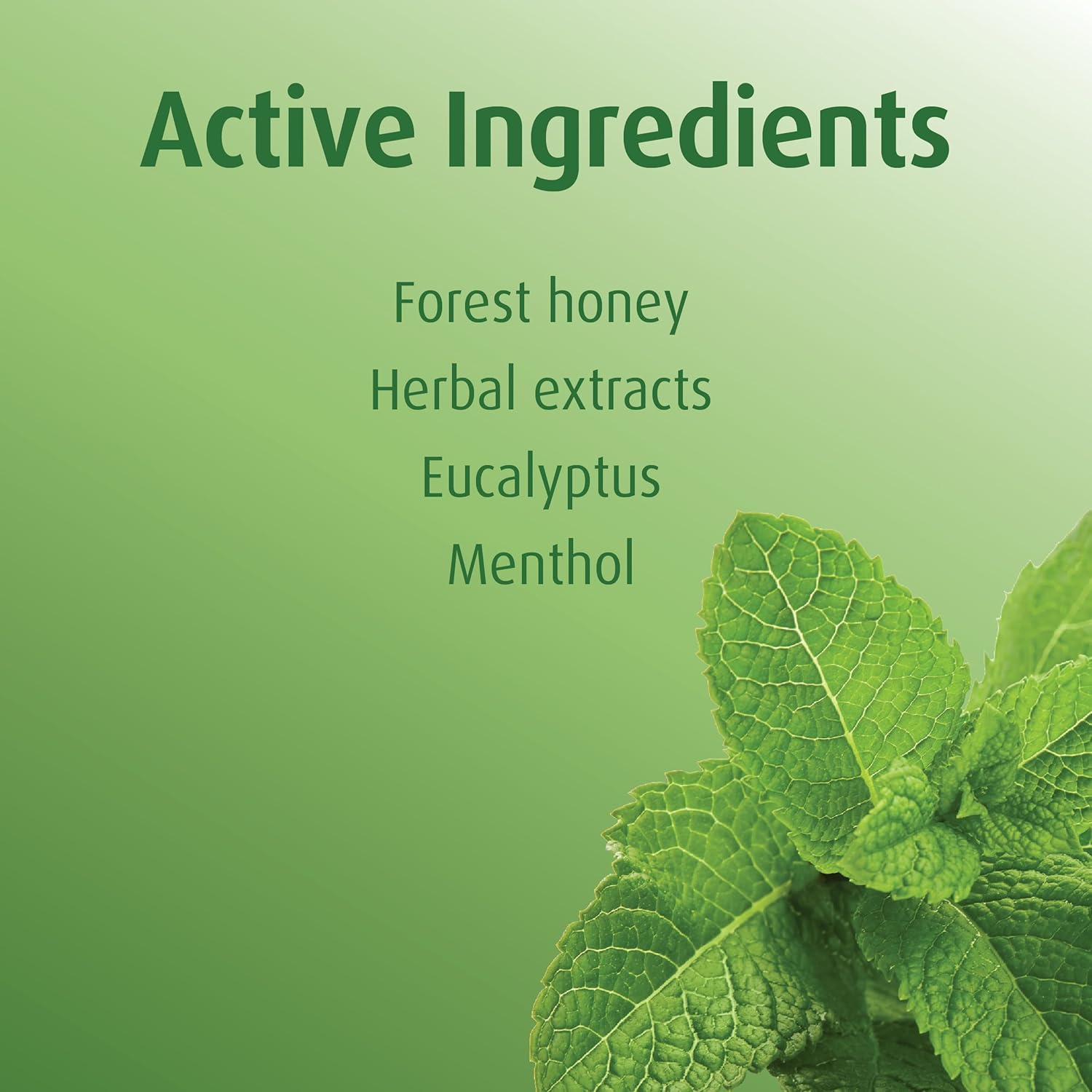 Huebner Fir Blood Candy, Skull, 75G