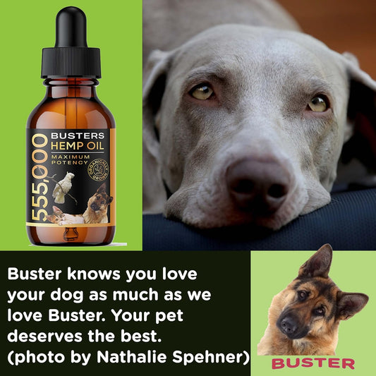 3Pack-6Month Supply, Buster'S Organic Hemp Oil For Dogs And Pets, 555,000 Max Potency, Large 60Ml Bottle - Miracle Formula, Perfectly Balanced Omegas 3, 6, 9 - Joint Support, Calming