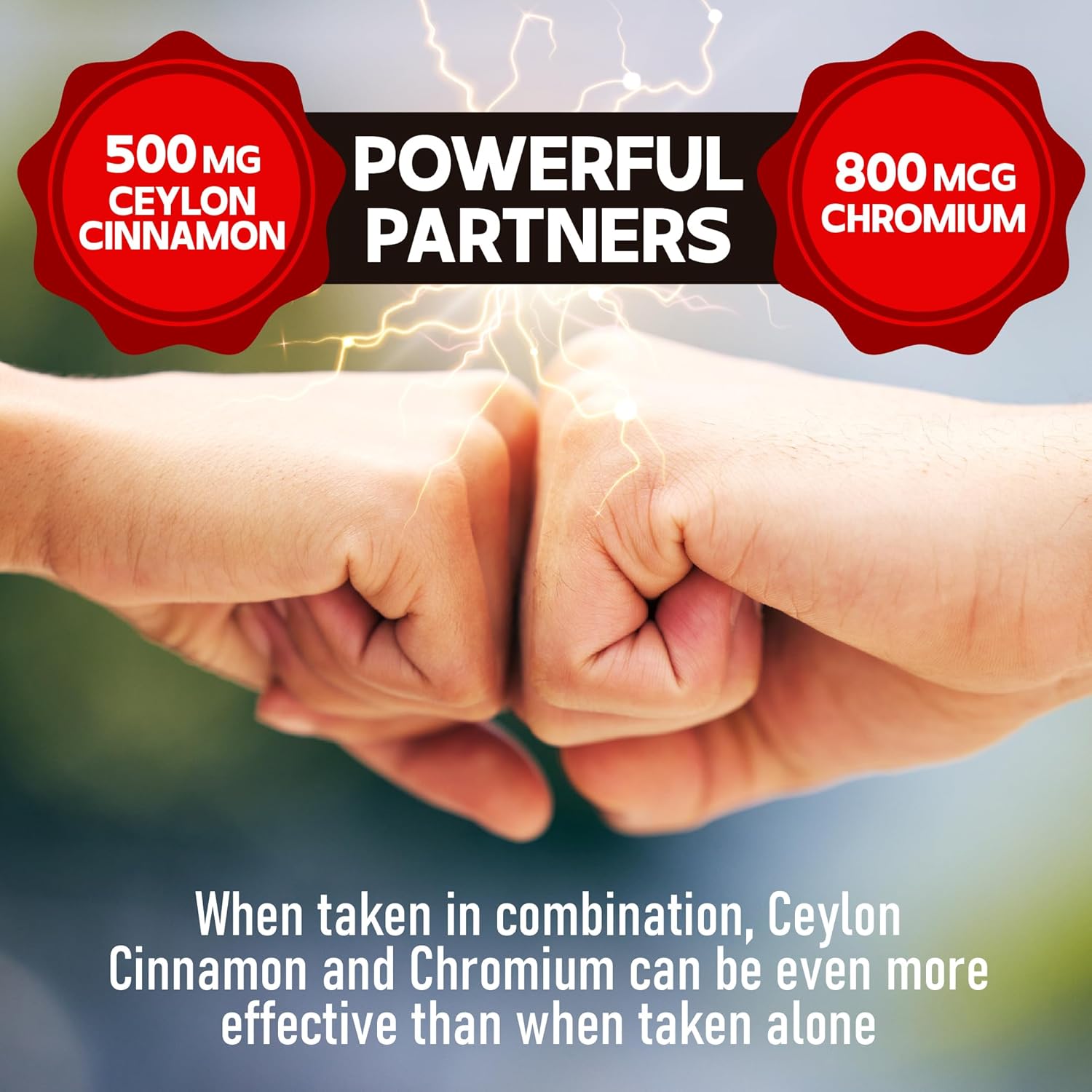 Dedicad 13In1 Ceylon Cinnamon Capsules - 200 Capsules With Chromium Picolinate, Biotin, Grape Seed, Elderberry & More : Health & Household