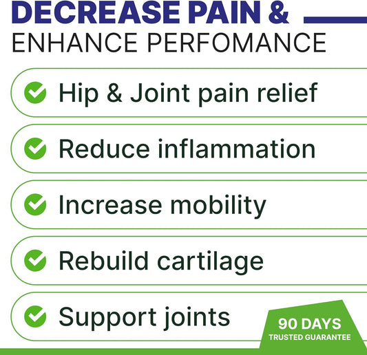 Advanced Hemp Chews | Dogs Hip Joint Pain Relief | Turmeric + Glucosamine | Hip & Joint Supplement Large Breed - Hemp Treats For Joint Health - Chondroitin Msm Hemp Oil Pills - Senior Dog