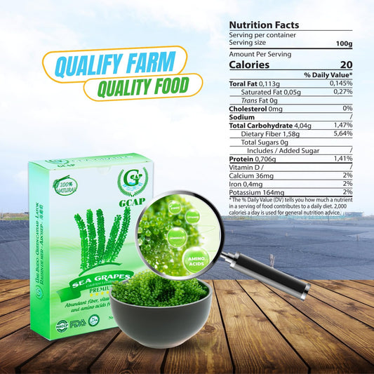 Gcap Salted Sea Grapes – Premium – Dehydrated Seaweed, Umibudo, Green Caviar, Lato Seaweed - A Great Superfood For Your Health - Boosting Immune System (120 Grams Of 6 Packs)
