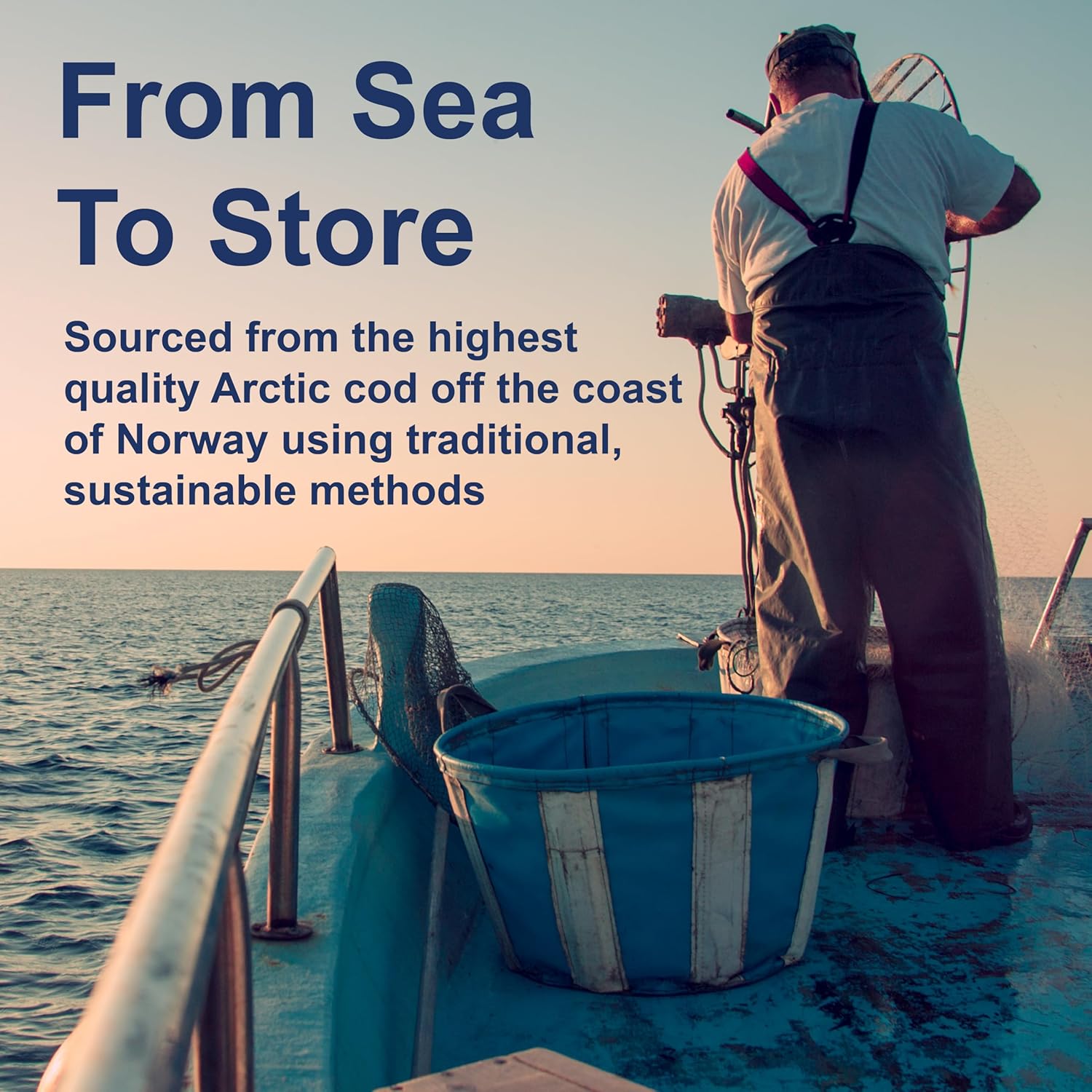 Carlson - Kid'S Cod Liver Oil, 550 Mg Omega-3S, Vitamins A & D3, Wild Norwegian, Bubble Gum, 250 Ml : Health & Household