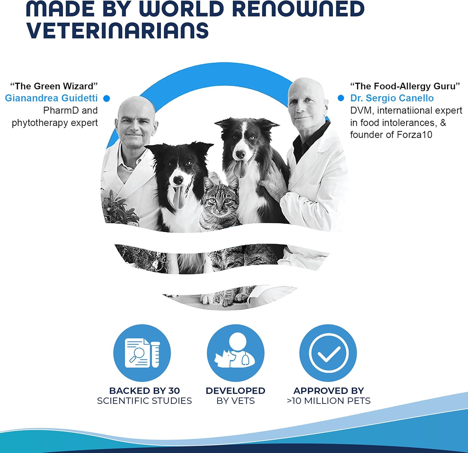 Forza10 Wet Renal Care Cat Food with Lamb, 3.5 Ounce Can Kidney Support and Renal Health, 12 Pack : Pet Supplies