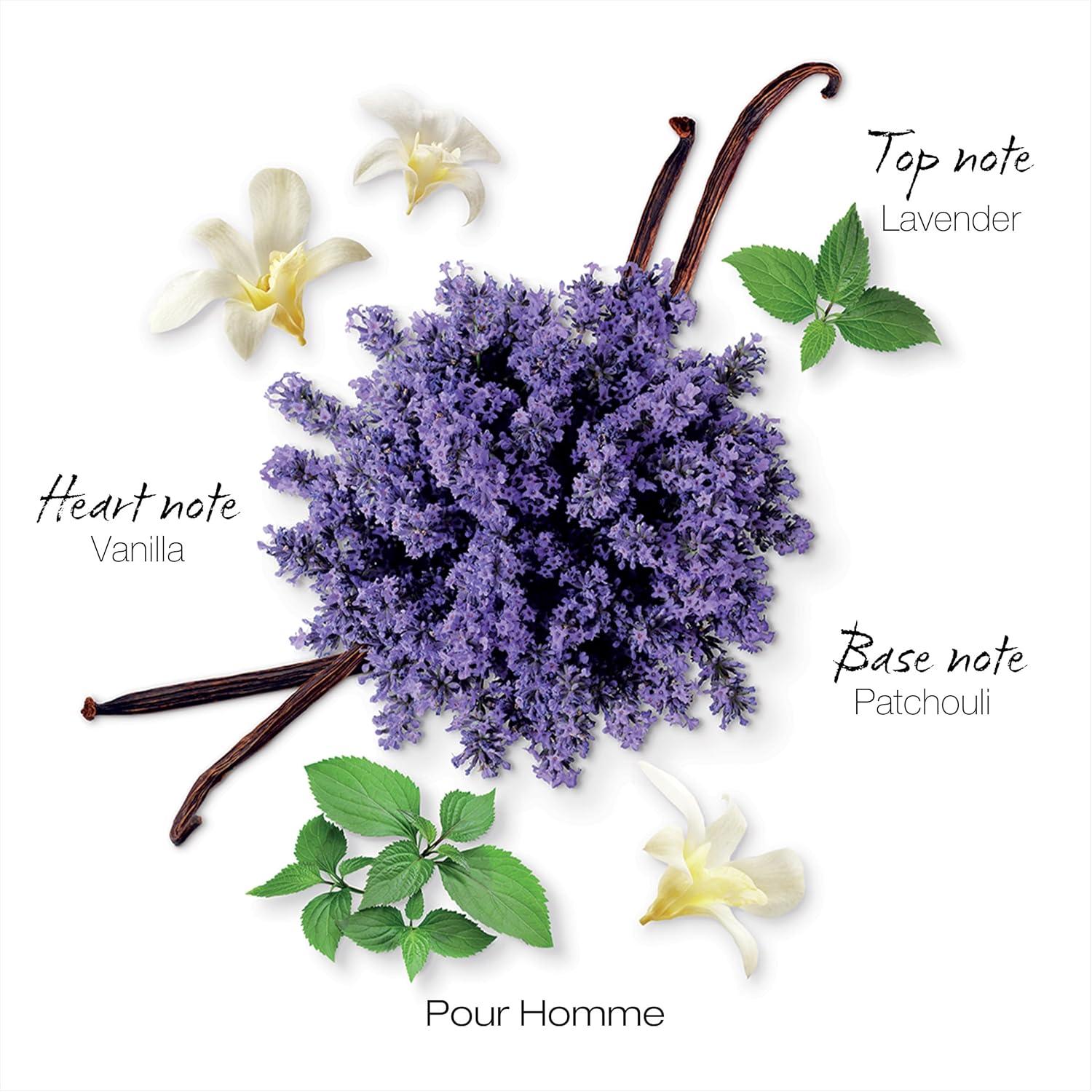 Mauboussin - Original Homme 100Ml (3.3 Fl Oz) - Eau De Parfum For Men - Woody & Aromatic Scents : Mauboussin Perfume : Beauty & Personal Care