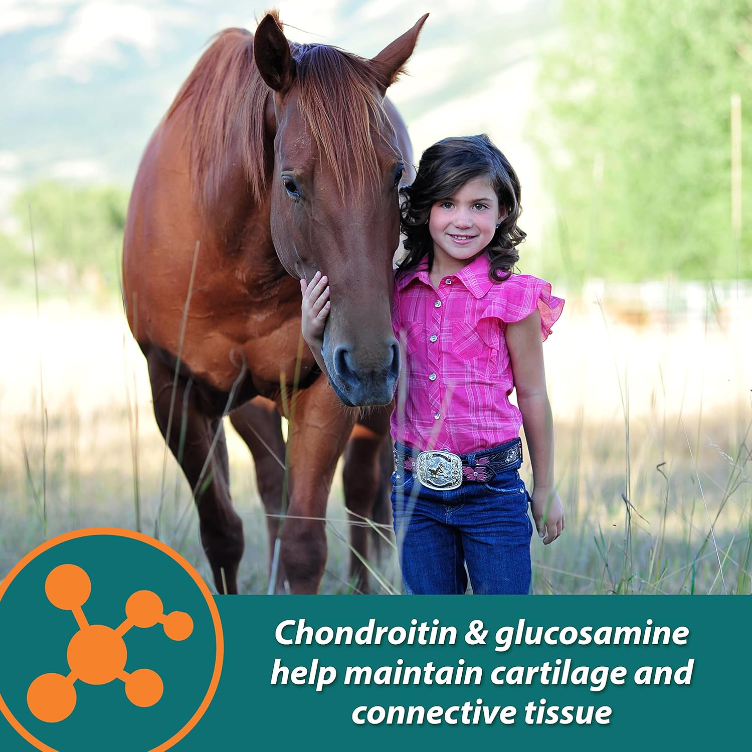 Farnam Next Level Performance Joint Pellets 3.75 Pounds 30 Day : Pet Supplies