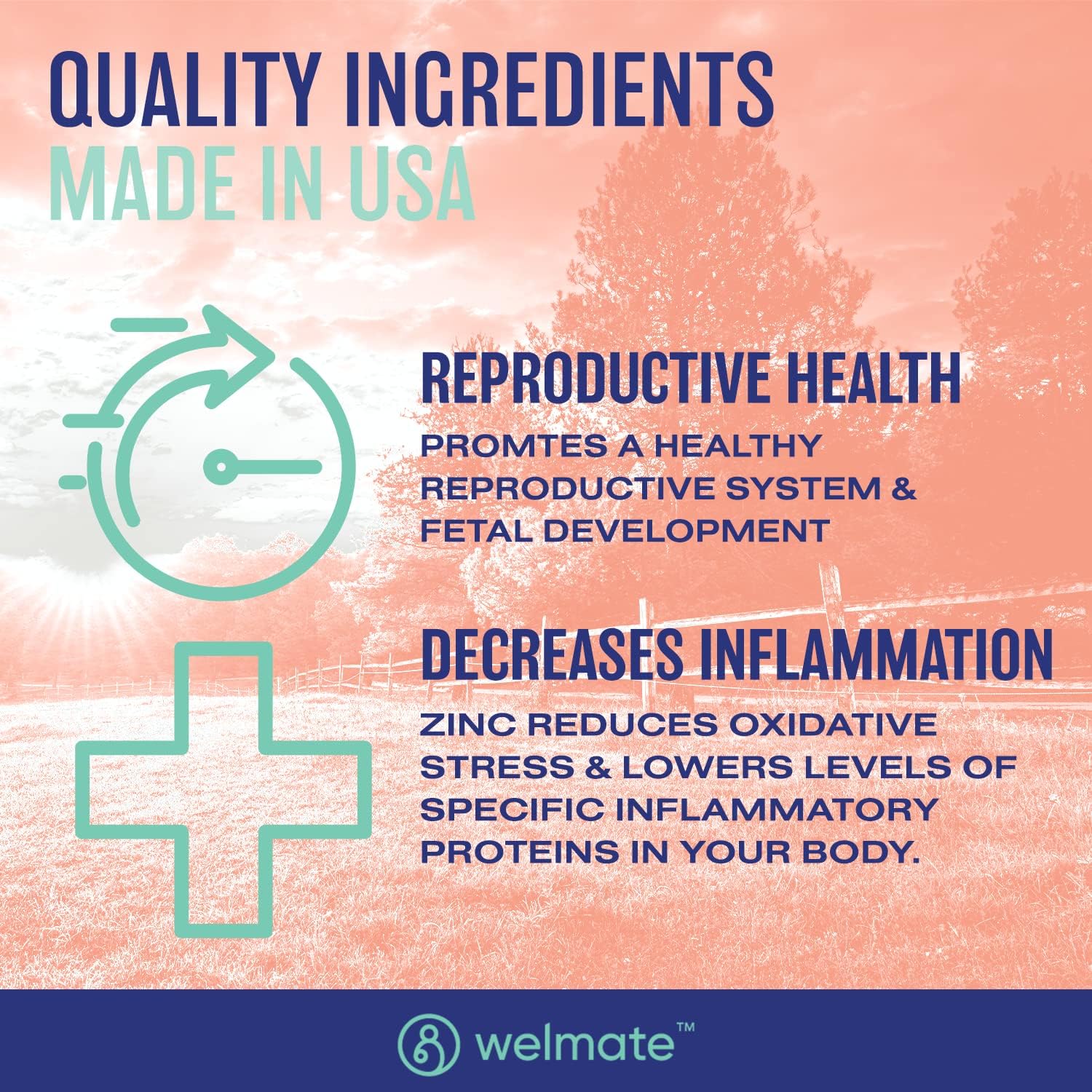 Welmate Zinc Sulfate 220mg | Dietary Supplement | Immune Health Suppor