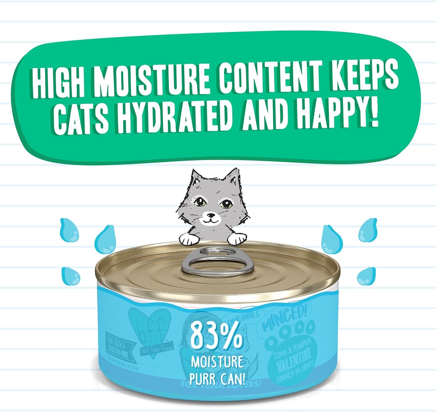 Weruva Best Feline Friend (B.F.F.) Tuna & Pumpkin Valentine with Tuna & Pumpkin in Gravy Cat Food, 5.5oz Can (Pack of 24), Green : Pet Supplies
