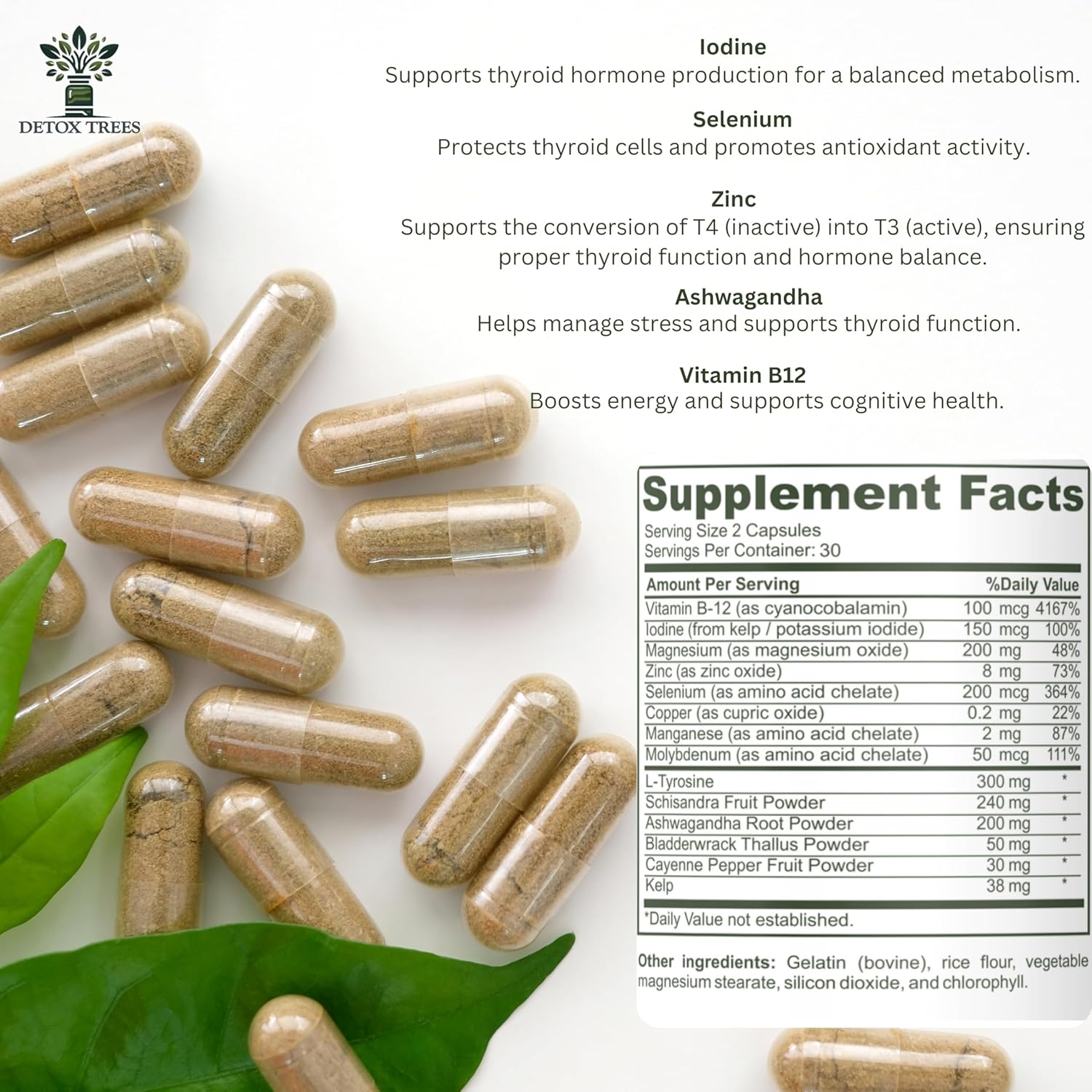 Detox Trees Advanced Thyroid Support Supplement - Non-Gmo, Thyroid Supplement With L Tyrosine, Iodine, B12, Zinc, Selenium, Ashwagandha For Thyroid Health & Overall Well-Being, 60 Capsules : Health & Household