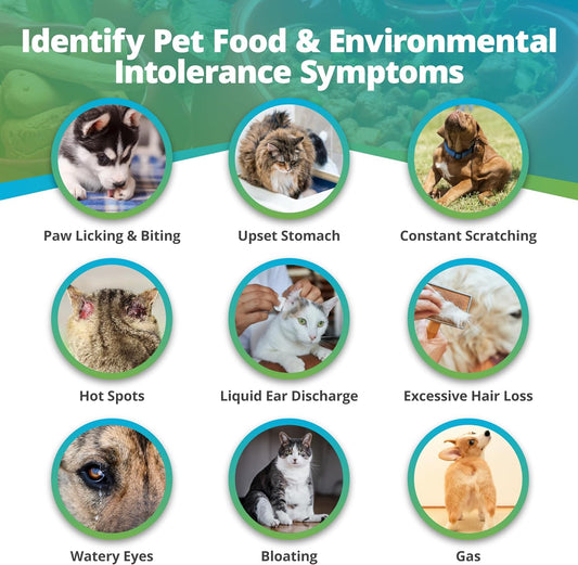 5Strands Pet Food And Environmental Intolerance Test, At Home Sensitivity Test For Dogs & Cats, Hair Sample Collection Kit, 395 Items Tested, Results In 5 Days, Works For All Ages And Breeds