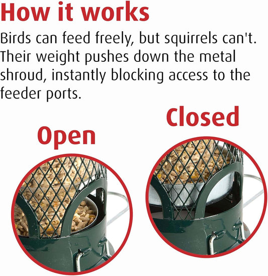 Jacobi Jayne Sb-M Squirrel Proof Bird Feeder - Squirrel Buster Mini - Marauders Off! Guaranteed Squirrel Proof/Metal, GreenSb-M