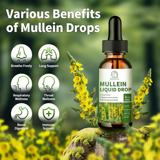 (2 Pack) Mullein Drops For Lungs, 16-In-1 Mullein Leaf Extract 800Mg For Lung Cleanse, Respiratory, Immunity, With Quercetin, Marshmallow, Black Cumin Seed, Elderberry, Non-Gmo, 2 Fl Oz