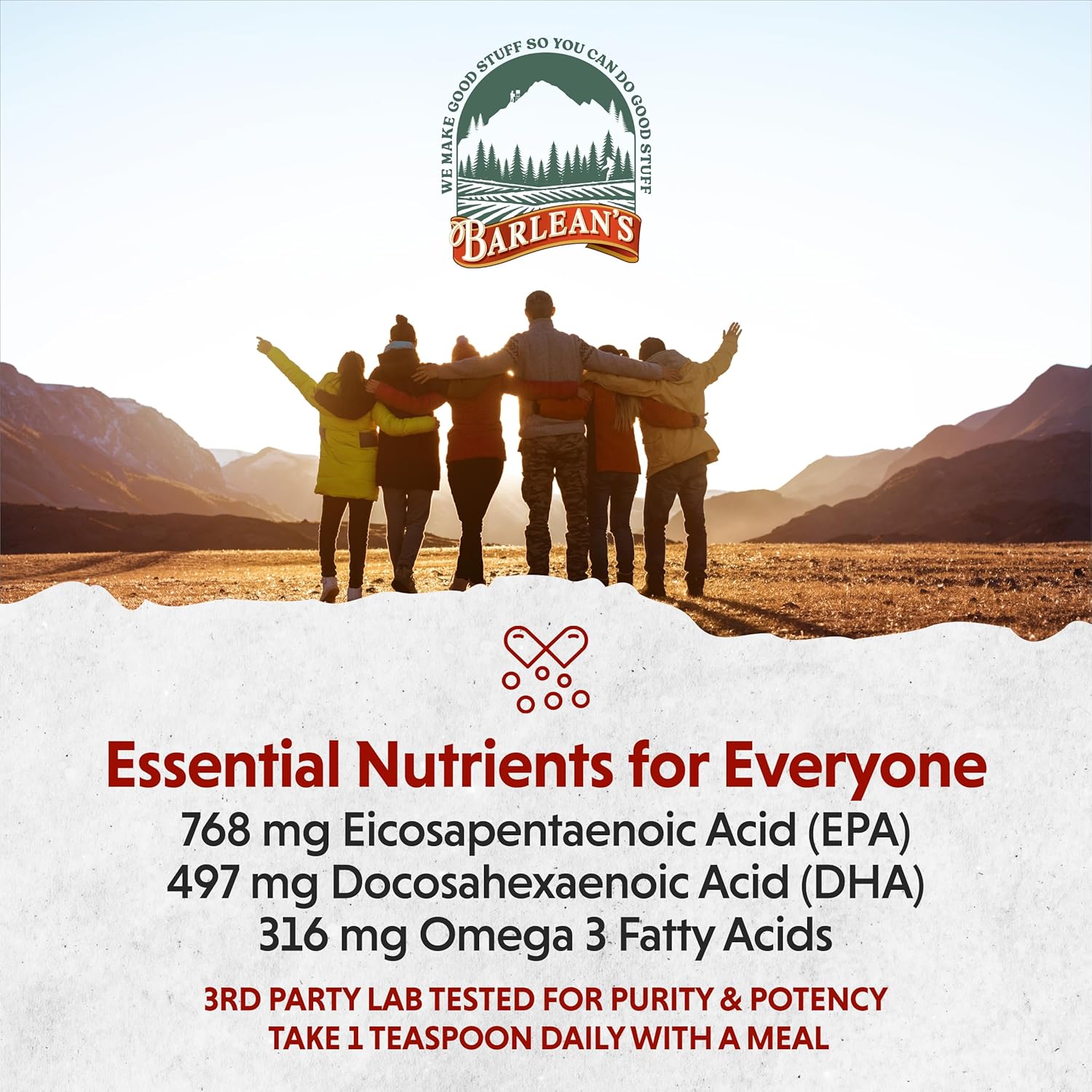 Barlean'S Omega 3 Fish Oil Liquid Supplement, 1262Mg Epa And Dha Fatty Acids, Non-Gmo And Gluten Free, Orange Flavor, 8 Oz : Health & Household