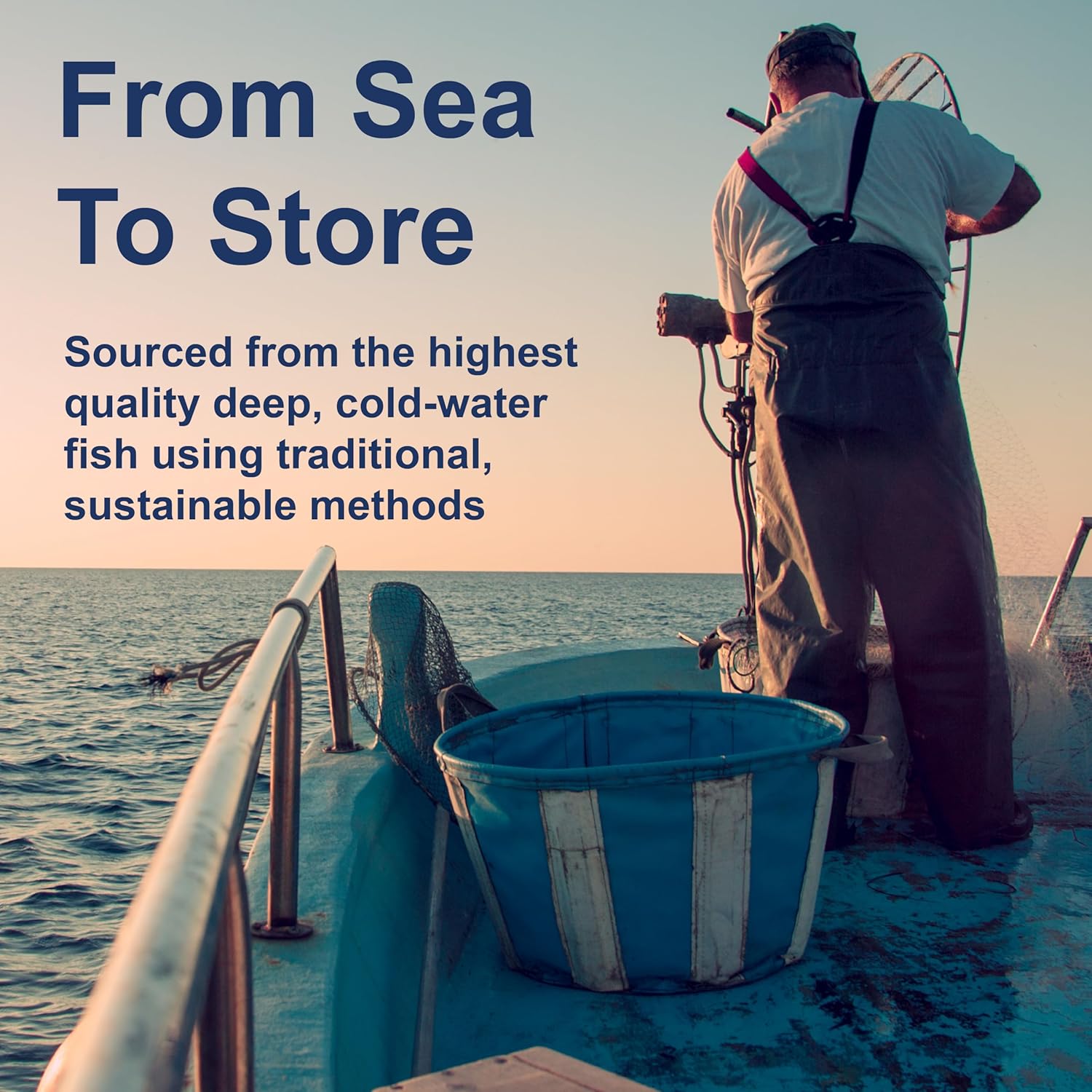 Carlson Salmon Oil, 500Mg Omega-3S, Wild-Caught Norwegian Fish Oil, Sustainably Sourced, 50 Softgels : Health & Household