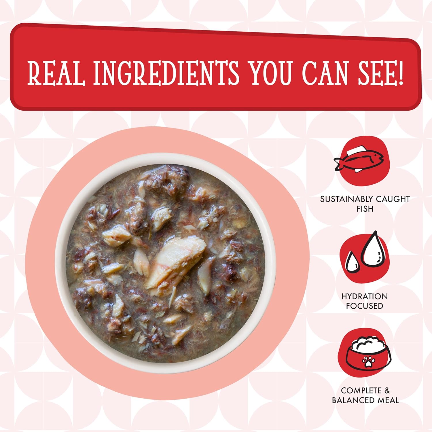 Weruva Cats in The Kitchen Mack, Jack & Sam with Mackerel, Skipjack & Salmon in Gravy Cat Food, 3oz Pouch (Pack of 12) : Pet Supplies