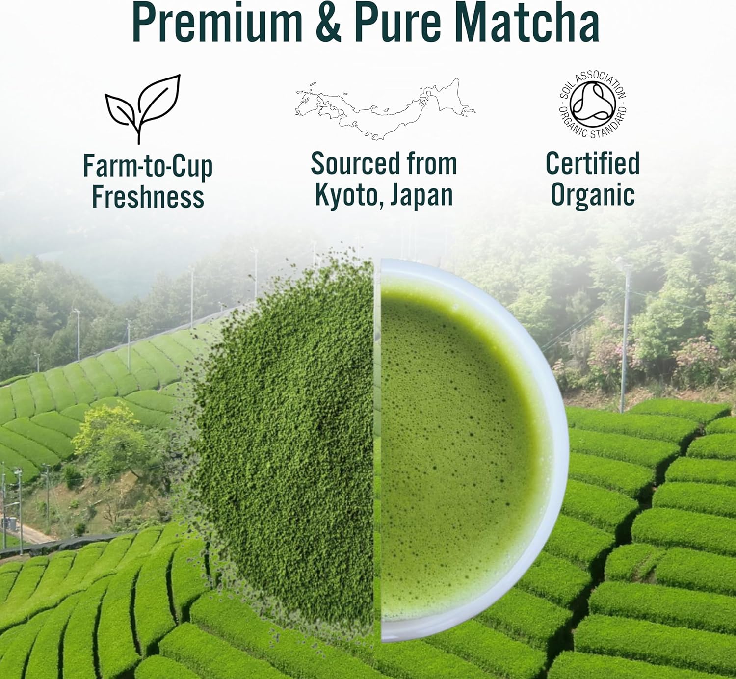 Green Origins Organic Super Japanese Matcha Latte Blend for Slow-Release Energy & Concentration with Lucuma & Coconut Milk |10 Servings, 100g | Vegan, Dairy Free, Gluten Free, No Added Sugar : Amazon.co.uk: Grocery