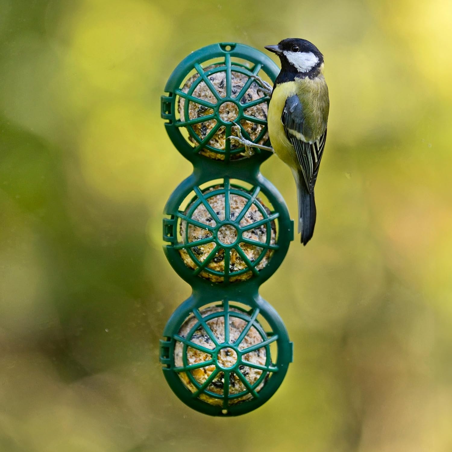Fat Ball Bird Feeder - Jacobi Jayne® Basketball™ Window Feeder. Small Easy Clean Suet Ball Holder Cage For Wild Birds Only. Pack Of Two Feeders For Suet Balls. Green Suet Bird Feeder. :Garden