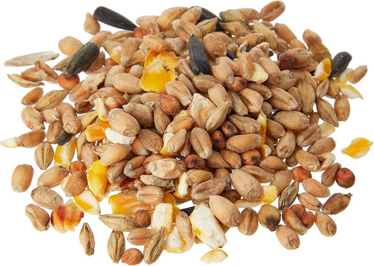 Extra Select Wild Bird Seed Mix With Black Sunflower Seeds, Wheat, Dari, Millet Seeds - Nutrient Rich Wild Bird Food For Small Birds - 2Kg01Wbsm2