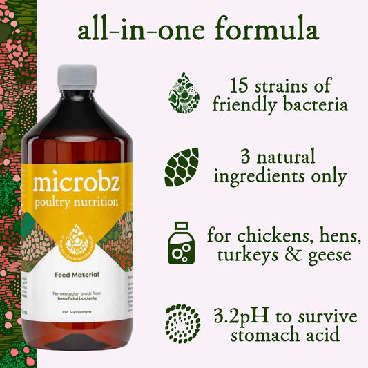 Microbz Horse Nutrition | 1 Litre | Liquid Beneficial Microbes For Horses & Foals, To Support Equine Digestive Health, Immunity & Performance - 100% Natural