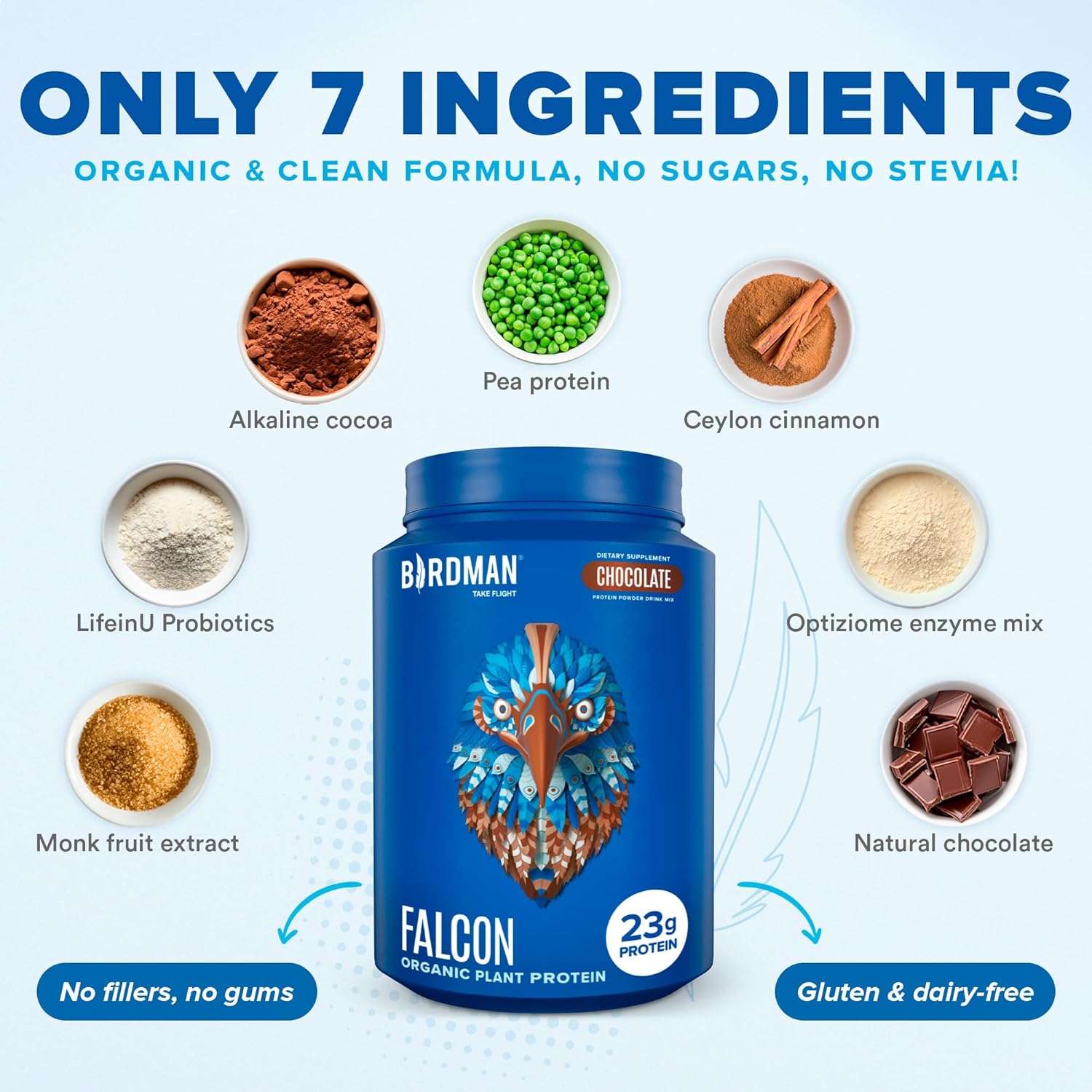 BIRDMAN Falcon Vegan Protein Powder Organic, Stevia & Sugar Free, Plant Based Protein, Low Carb, Dairy Free, Keto, Non Whey Protein, Probiotic, Pea Protein | Chocolate Flavor - 40 Servings - 2.64lb : Health & Household