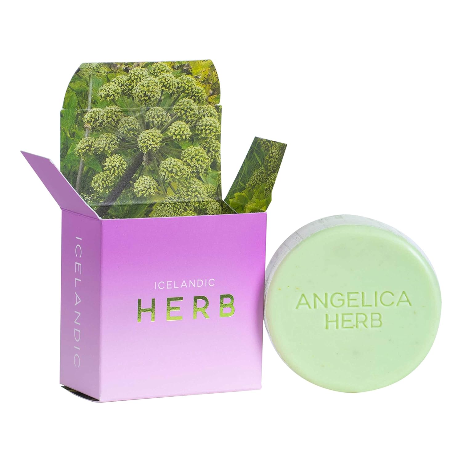 Kalastyle Exfoliating Bars Of Soap From Natural Ingredients, Assorted Scents - Icelandic Volcanic Ash And Angelica Herb, Set Of 2, 4.3 Ounce Each : Beauty & Personal Care