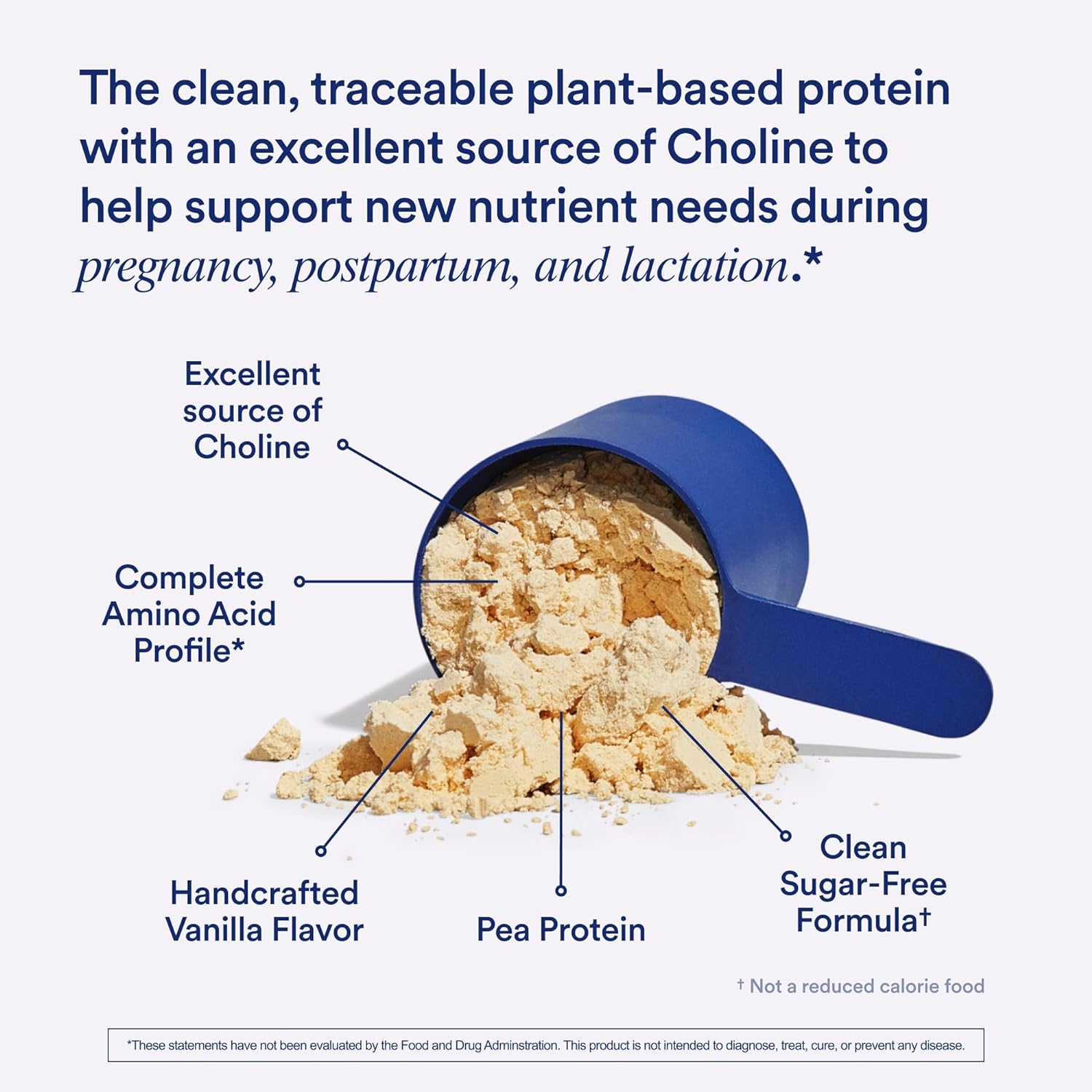 Ritual Prenatal Protein Powder: Choline to Support Prenatal, Postpartum, & Lactation, 20g Organic Pea Protein from Regenerative Farms in USA, Gluten Free, Plant Based, Sugar Free†, Vanilla, 1 Pound : Health & Household