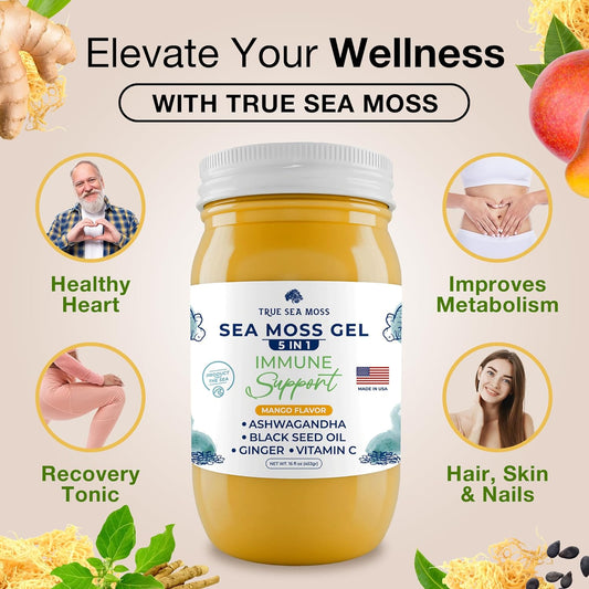 Trueseamoss Wildcrafted Irish Sea Moss Gel - Made With Organic Raw Seamoss - Dried Seaweed, Rich In Minerals, Proteins & Vitamins, Vegan-Friendly - Supports Health - Made In Usa (5 In 1, Pack Of 1)
